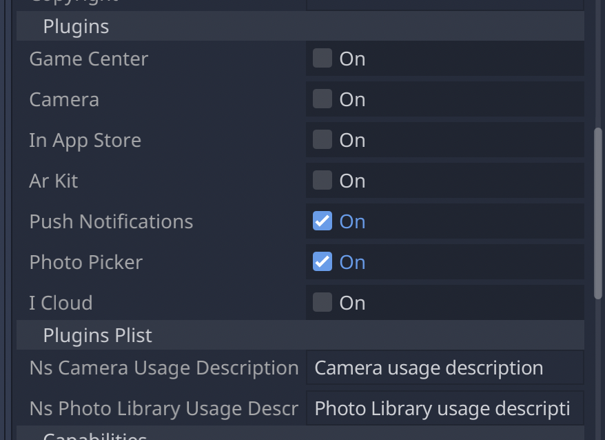 ../../../../_images/ios_export_preset_plugins_section.png