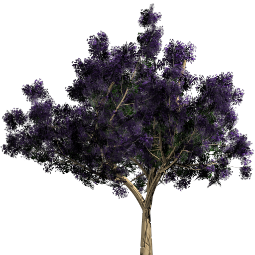 ../../../_images/mesh2d1.png