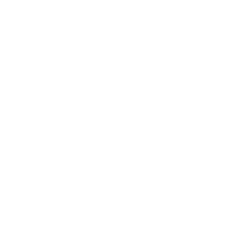 ../../../_images/volumetric_fog_quad_mesh_texture.webp
